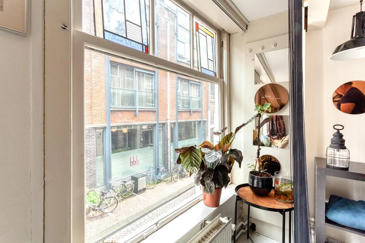 B&B 1971 Hazenstraat - Shared Bathroom Amsterdam 0*,  Pays-Bas